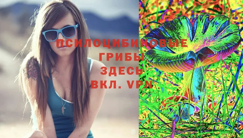 Галлюциногенные грибы Cubensis  купить закладку  Иннополис 